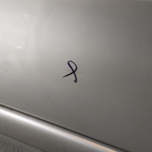 Puerta Delantera Derecha Citroen Xsara Picasso (03734286)