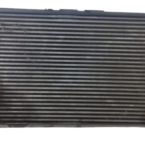 Intercooler Vw Golf 2.0 (06224862)