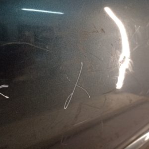Puerta Trasera Derecha Peugeot 206 (02828296) Lp