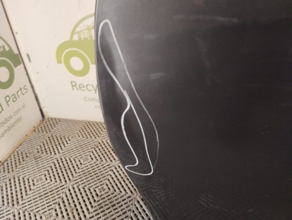 Puerta Delantera Izquierda Citroen Nuevo C3 (06073795)