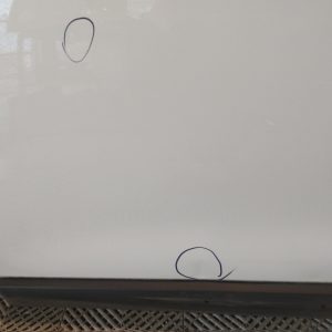 Puerta Delantera Izquierda Renault Kangoo Ln (05481908)