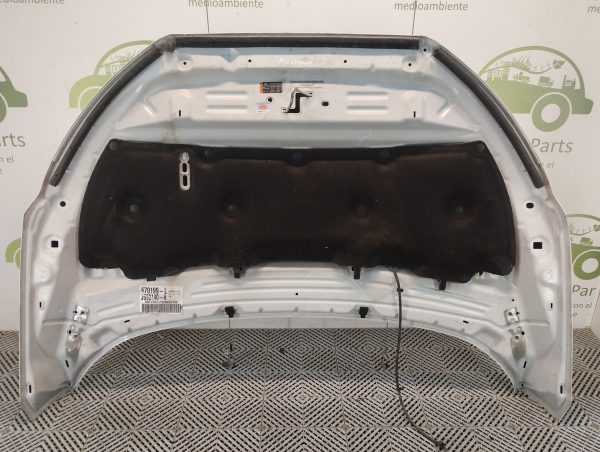 Capot Ford Ecosport Kinetic Ln (05423059)