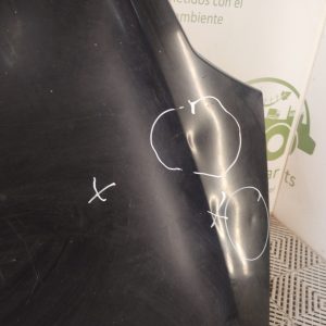 Capot Ford Ka Viral (05452950)