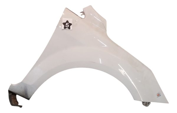 Guardabarro Derecho Ford Focus 2 (05906131)