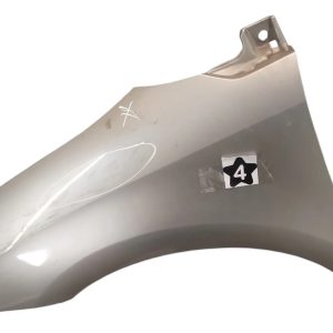 Guardabarro Izquierdo Citroen C4 (05896902)