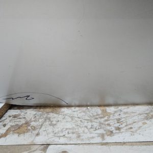Puerta Trasera Derecha Renault Scenic (04955881) Lp