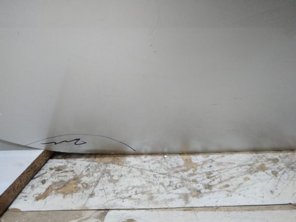 Puerta Trasera Derecha Renault Scenic (04955881) Lp