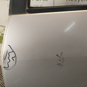 Puerta Trasera Izquierda Renault Sandero Lv (04466314)
