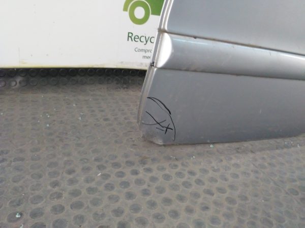 Puerta Trasera Izquierda Peugeot 206 (02498754) Lp