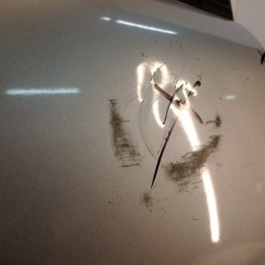 Puerta Trasera Derecha Citroen C3 Lv (03016026) Lp