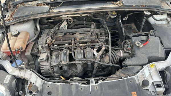 FORD FOCUS 5P 1.6L N MT S (NUC504)