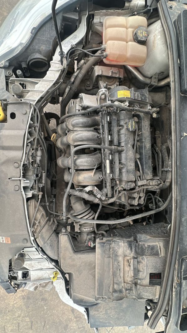 FOCUS 5P 1.6L N MT S (ORI544)