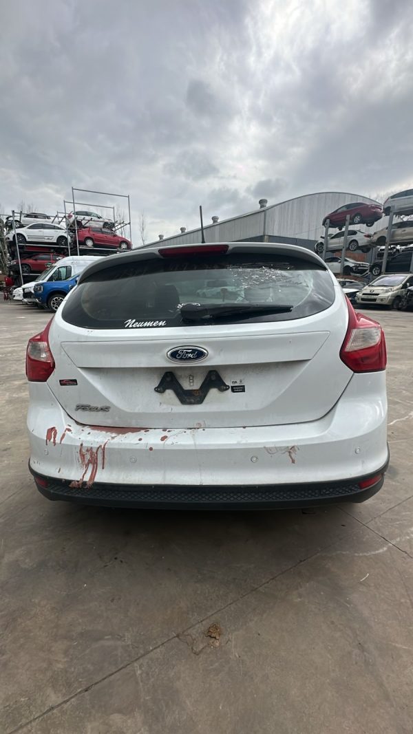 FOCUS 5P 1.6L N MT S (ORI544)