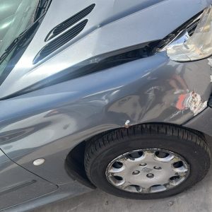 PEUGEOT 206 XR PREMIUM 1.6 3P (FMA032)